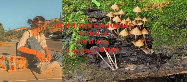 тгк Алексеевка